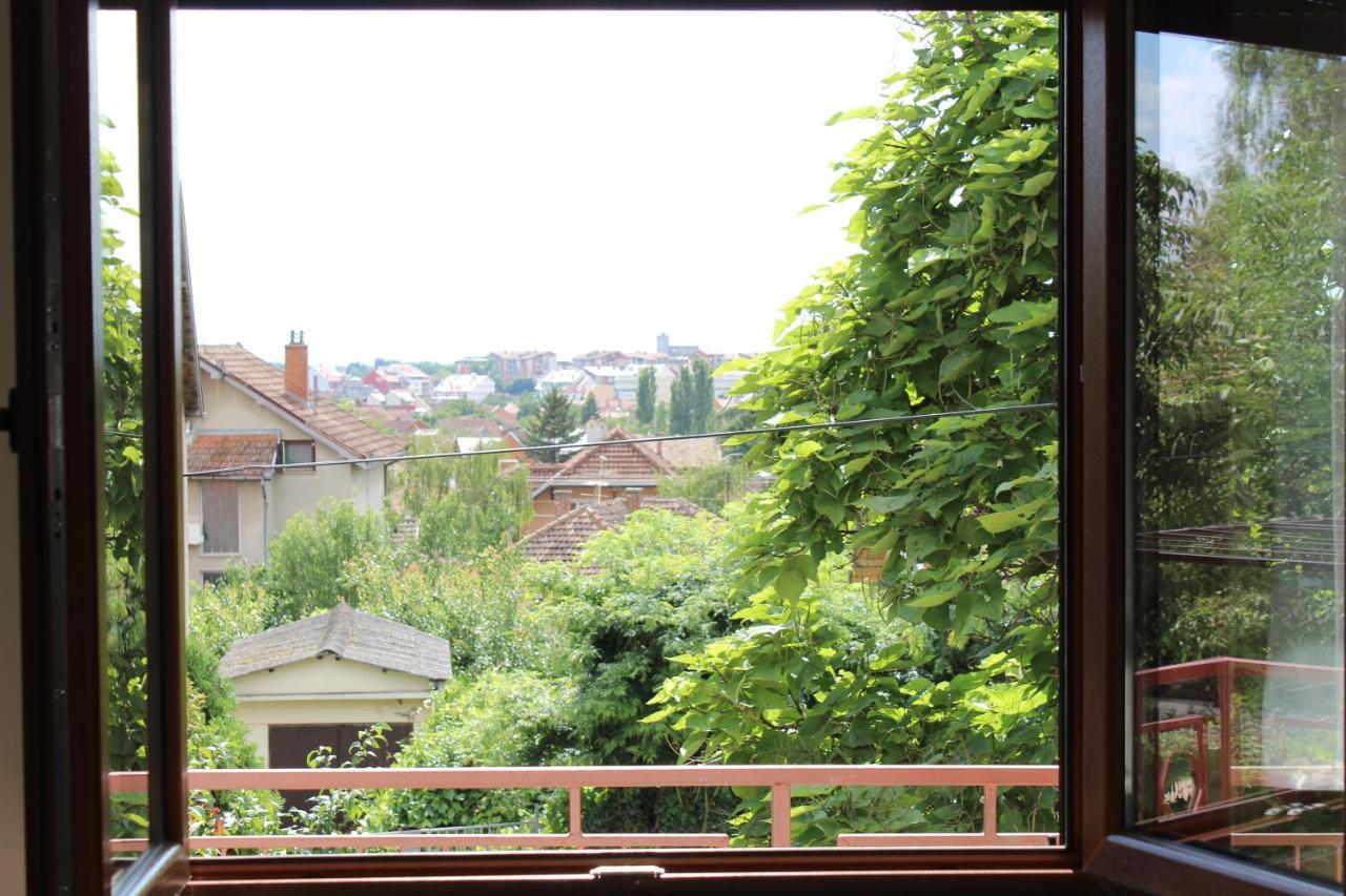 M Apartment Vrsac Luaran gambar